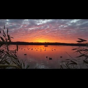 Meet your Posher, Chase